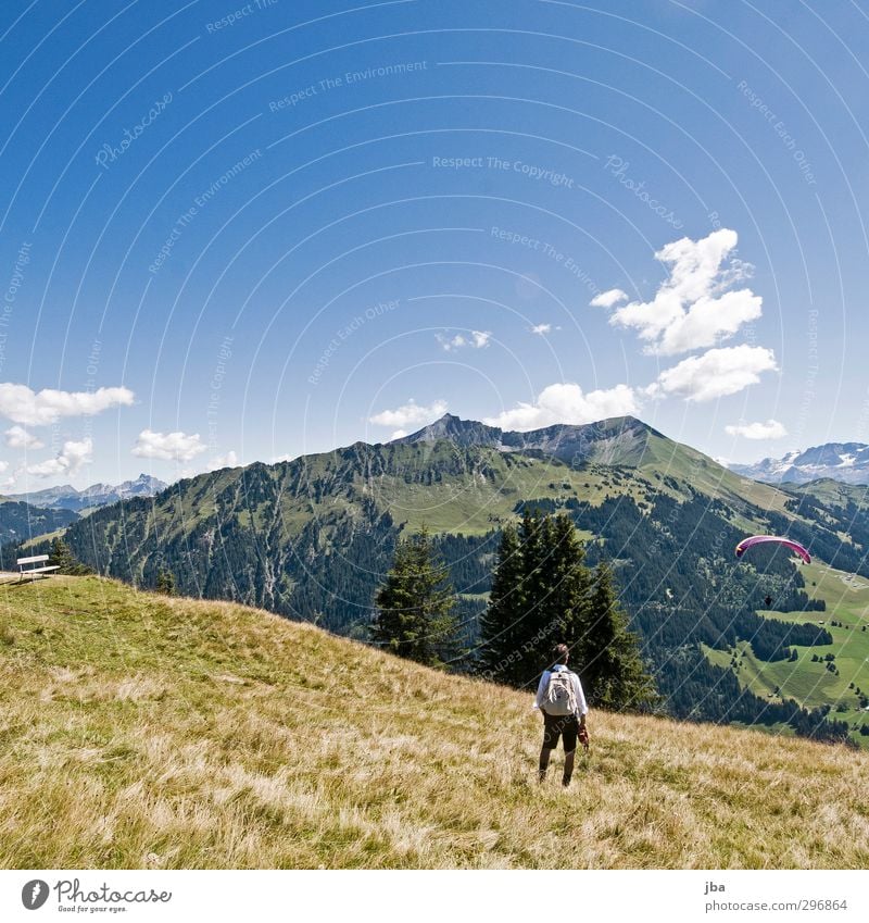 Bergwelt Zufriedenheit Tourismus Sommerurlaub Berge u. Gebirge wandern Gleitschirmfliegen Landschaft Luft Wolken Herbst Schönes Wetter Gras Tanne Wiese Alpen