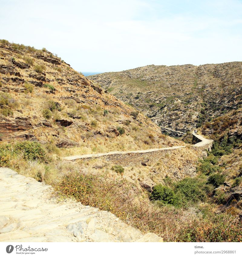 dahinter der Strand | on the road again Klettern Bergsteigen Umwelt Natur Landschaft Urelemente Himmel Horizont Sommer Schönes Wetter Pflanze Felsen