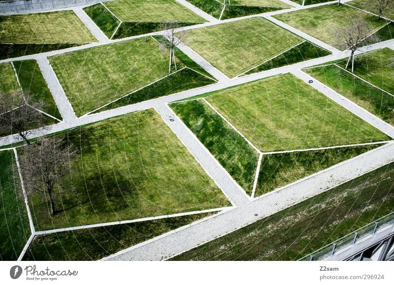 geogarten Baum Gras Park Wiese Stadt Architektur Garten Wege & Pfade ästhetisch eckig einfach modern natürlich Design Idylle Ordnung Perspektive planen rein