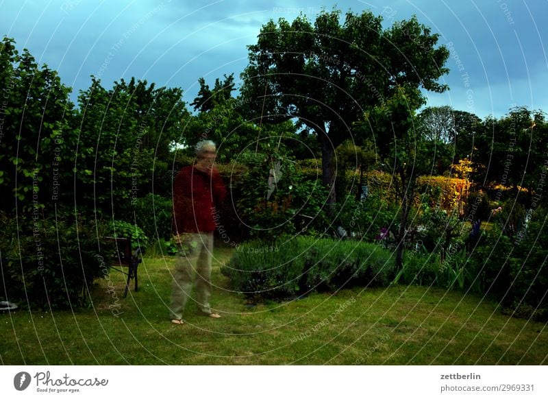 Abends im Garten Baum Bewegung Phantasie Gras Himmel Himmel (Jenseits) Schrebergarten Märchen Natur Rasen Sträucher Textfreiraum Tiefenschärfe Wiese Mann Mensch