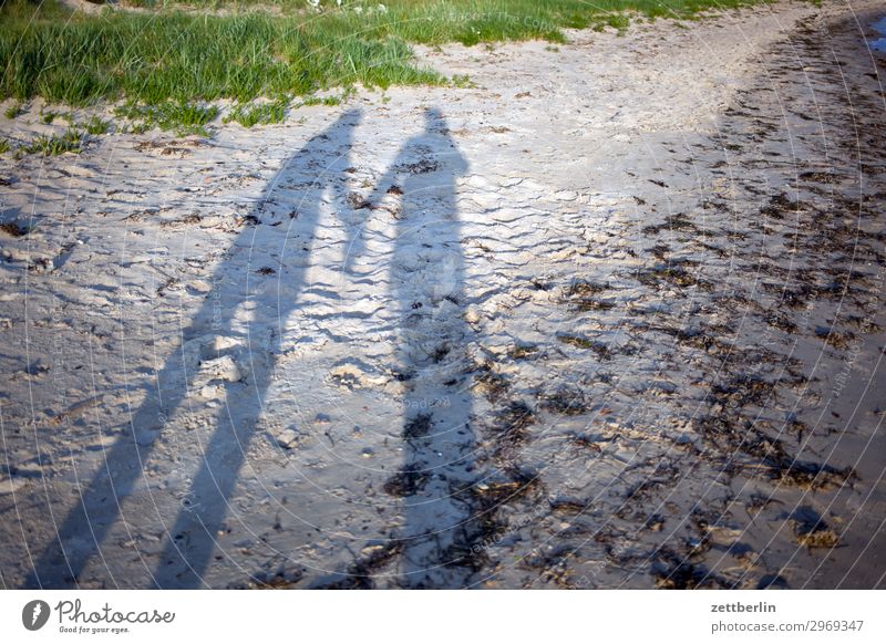 Schattenpaar am Strand Ferien & Urlaub & Reisen Insel Mecklenburg-Vorpommern Meer mönchgut Natur Ostsee Reisefotografie Rügen Tourismus Küste Seeufer Flussufer