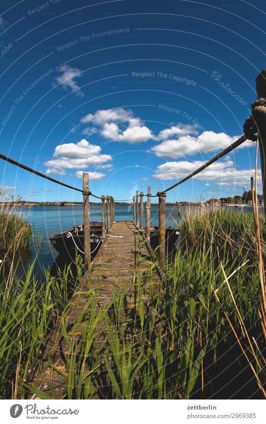 Hafen Gager Ferien & Urlaub & Reisen Insel Küste Mecklenburg-Vorpommern Meer mönchgut Natur Ostsee Ostseeinsel Reisefotografie Rügen Tourismus Seeufer Flussufer