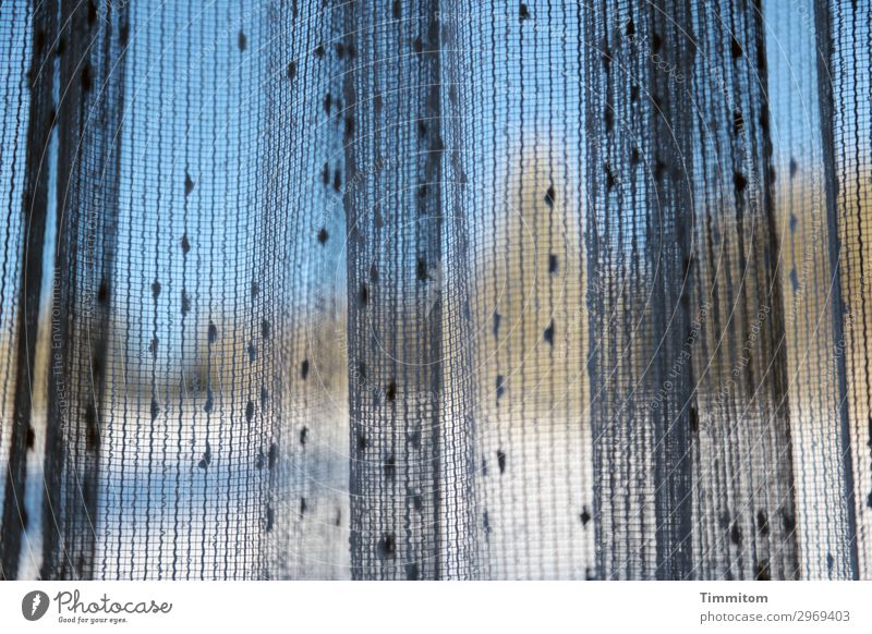 Winterfarben Ferien & Urlaub & Reisen Umwelt Natur Landschaft Pflanze Schönes Wetter Wiese Wald Blick blau grün schwarz weiß Gefühle Lebensfreude Vorfreude