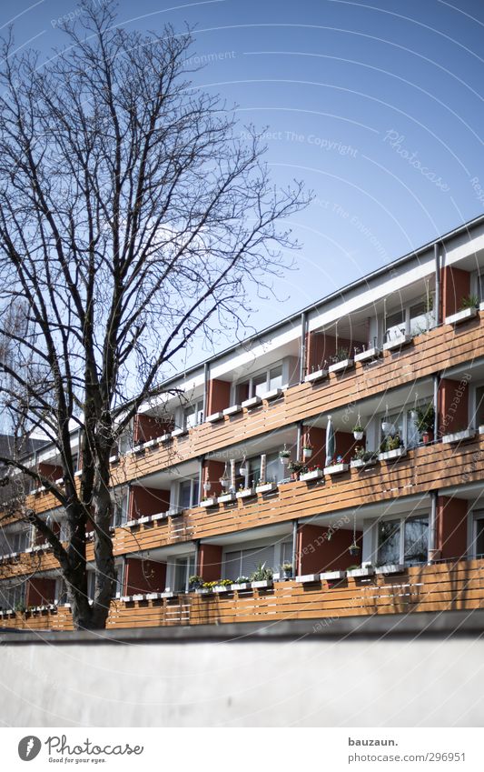 balkonien. Häusliches Leben Wohnung Haus Dekoration & Verzierung Balkon Himmel Wolkenloser Himmel Sonne Baum Balkonpflanze Stadt Mehrfamilienhaus Mauer Wand