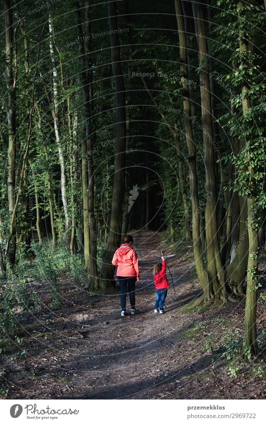 Mutter mit ihrer kleinen Tochter, die durch den Wald geht. Lifestyle Freude schön Leben Erholung Freizeit & Hobby Ferien & Urlaub & Reisen Sommer wandern Kind