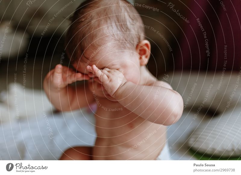 Süßes Kleinkind zu Hause Kind Baby Kaukasier Mädchen Porträt Spielen schön Lächeln klein Freude niedlich Lifestyle schläfrig Fröhlichkeit Glück Kindheit