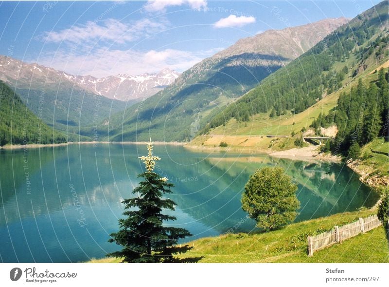 Reflections See Stausee Tanne Baum Südtirol Berge u. Gebirge Vernagt Himmel Alpen Schnalstal