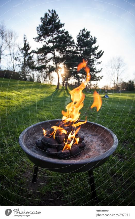 Feuer Ernährung Picknick Freizeit & Hobby Ferien & Urlaub & Reisen Sommer Feste & Feiern Natur Landschaft Himmel Sonne Sonnenaufgang Sonnenuntergang Baum Gras