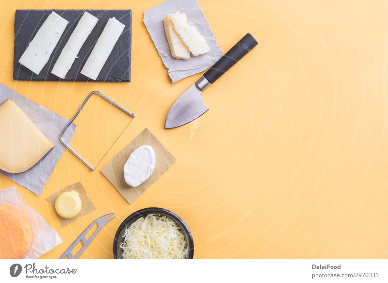 Sortiment an Qualitätskäse im Hintergrund Käse Tisch Menschengruppe Holz außergewöhnlich dunkel lecker blau gelb schwarz weiß Amuse-Gueule Holzplatte Brie