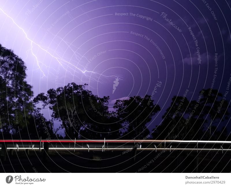 Holterdipolter | geblitzt Natur Gewitterwolken Nachthimmel schlechtes Wetter Unwetter Blitze Baum Verkehr Autofahren Straße PKW rebellisch Geschwindigkeit