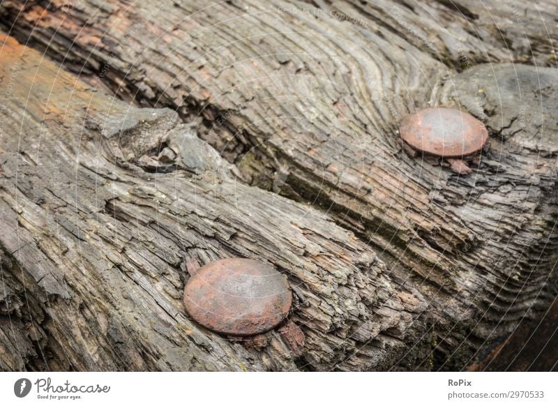 Holzdielen mit rostigen Schlossschrauben. Dielen Dielenboden Boden Gebäude Haus Bretter Eichenholz Eisen alt antik Geschichte floor Handwerk Kunst Kunsthandwerk