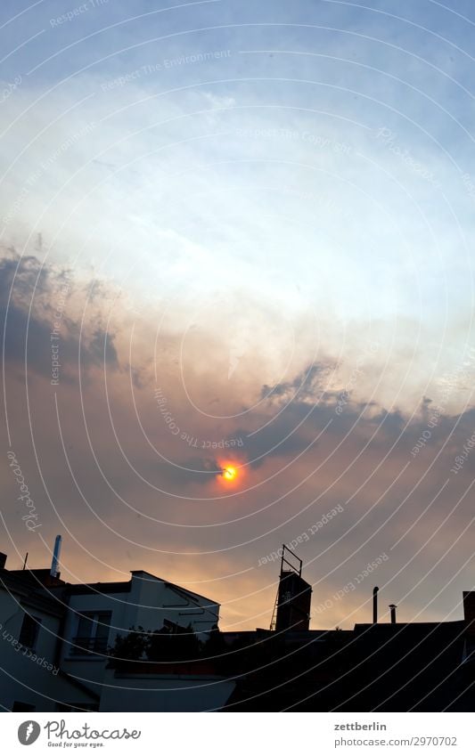 Waldbrand in Berlin Sonne Nebel Dunst Kohlendioxid Feinstaub dystopie Dämmerung Himmel Himmel (Jenseits) Luftverschmutzung Rauch Abgas Smog Sonnenuntergang