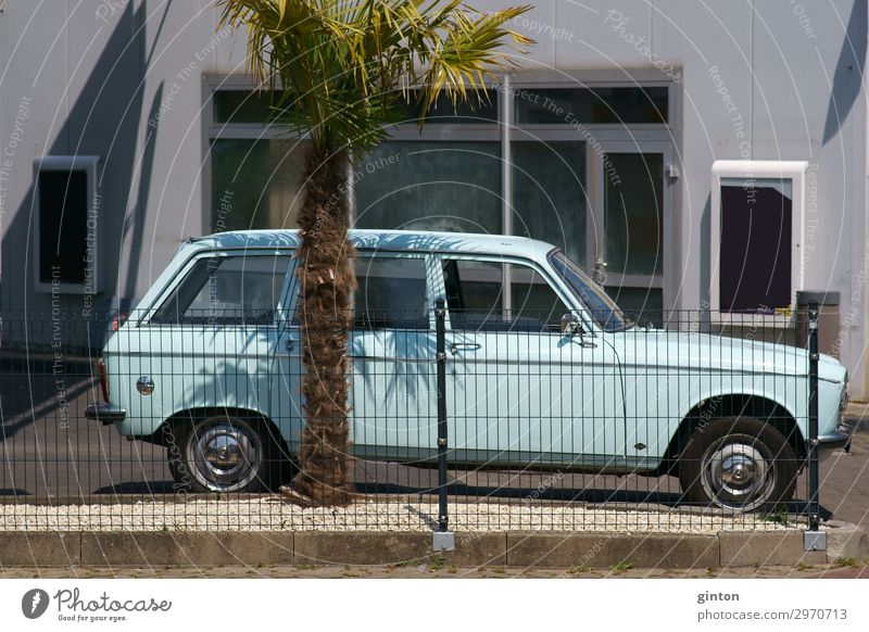 Oldtimer unter Palme Lifestyle Sommer Sommerurlaub Sonne Natur Pflanze exotisch Verkehrsmittel Fahrzeug PKW alt Nostalgie altes Automobil mediterran Zaun