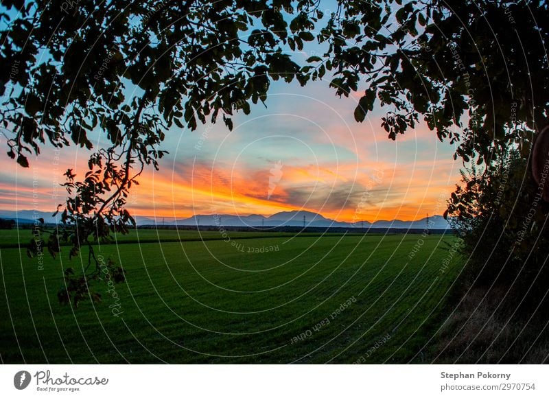 Sonnenuntergang mit Silhouette eines Baumes als Rahmen Ferne Sommer Umwelt Natur Landschaft Pflanze Erde Himmel Wolken Horizont Sonnenaufgang Herbst