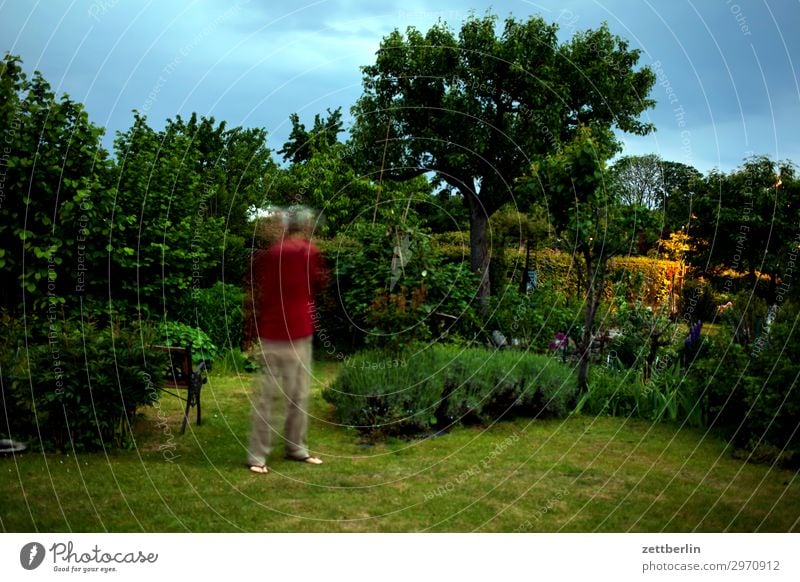 5000 Bewegung blinkern mehrfarbig Dynamik Phantasie Fantasygeschichte glänzend Garten Gras Himmel Himmel (Jenseits) Irritation Schrebergarten Kunst Licht