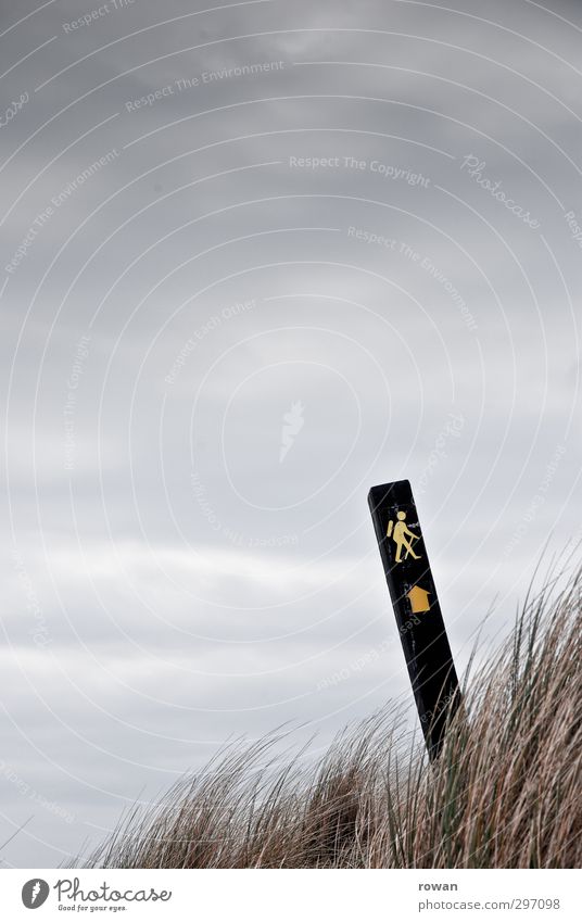 wanderweg Sport Fitness Sport-Training wandern kalt Fußweg Gras Grasbüschel Pfeil Schilder & Markierungen Hinweis Hinweisschild Symbole & Metaphern vorwärts