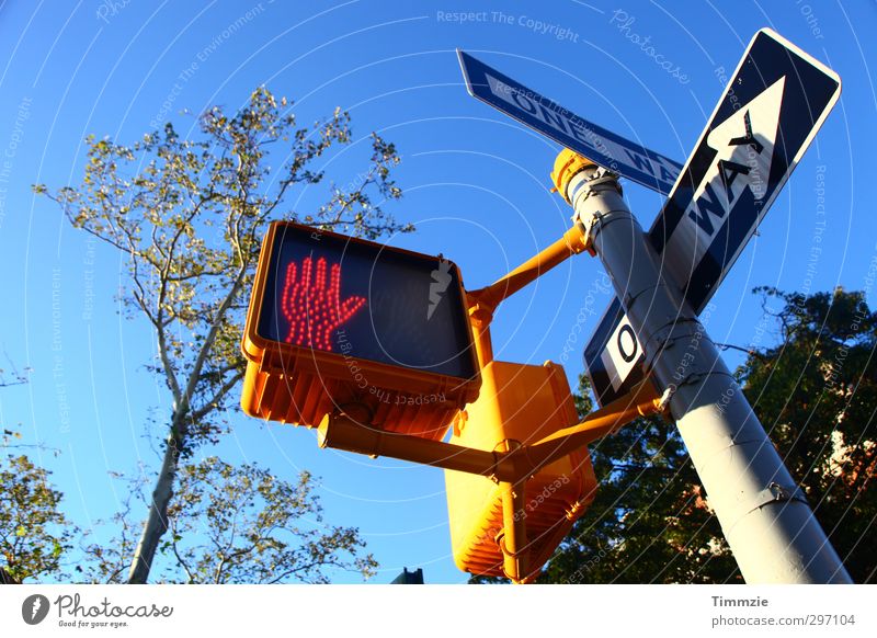 do you see the signs. Stadtzentrum Verkehr Verkehrswege Fußgänger Frühlingsgefühle Wege & Pfade Ampel Schilder & Markierungen Schilderwald mehrfarbig