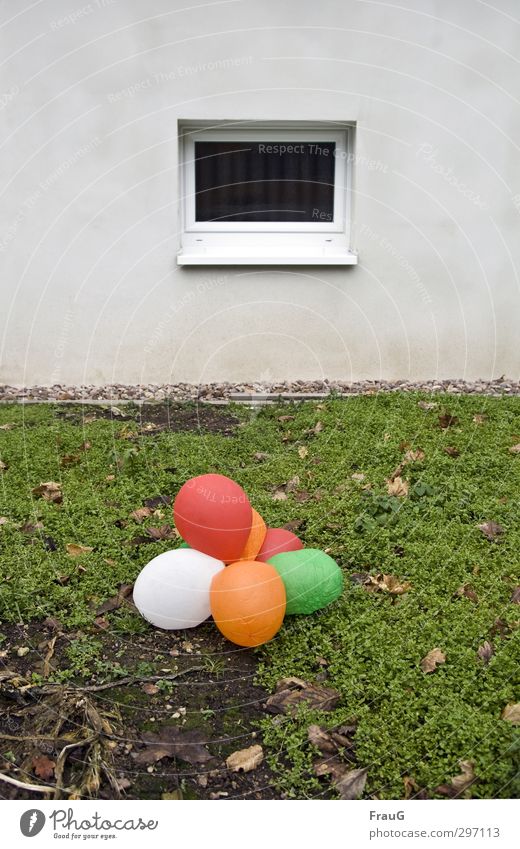 Der Rest vom Fest Rasen Blatt Mauer Wand Fenster Hof Luftballon liegen grün orange rot weiß Vergang Endzeitstimmung Traurigkeit Vergänglichkeit