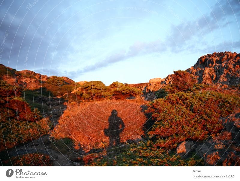 Morgenlicht maskulin Mann Erwachsene 1 Mensch Himmel Wolken Horizont Sonnenaufgang Sonnenuntergang Schönes Wetter Berge u. Gebirge Küste beobachten stehen