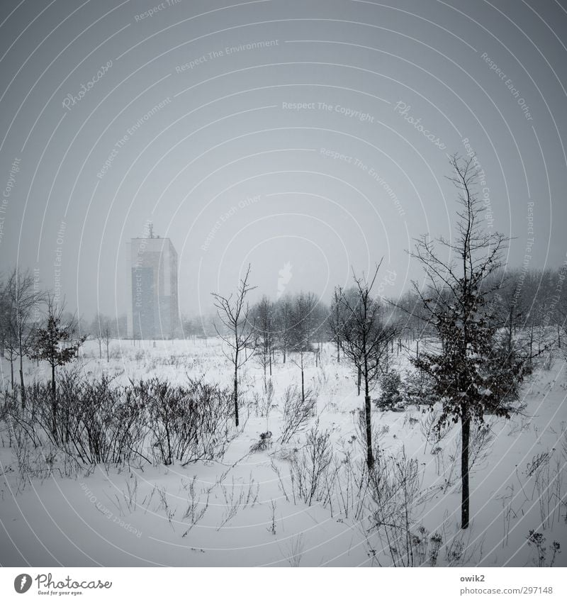 Kühlakku Umwelt Natur Landschaft Himmel Horizont Winter Klima Wetter Eis Frost Schnee Pflanze Baum Sträucher Stadtrand Haus Hochhaus Gebäude Plattenbau