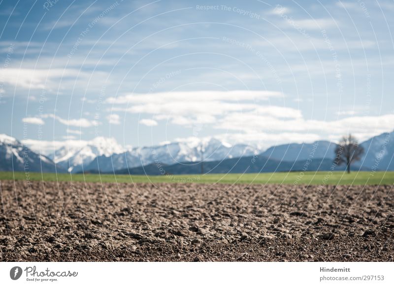 Weitblick [horizontal] Landschaft Erde Luft Himmel Wolken Frühling Baum Wiese Feld Berge u. Gebirge Schneebedeckte Gipfel ästhetisch eckig Freundlichkeit frisch