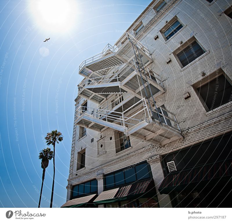 Escape from the Sun palmen Los Angeles Kalifornien Haus Bauwerk Gebäude Architektur Mauer Wand Treppe Feuerleiter Venice Beach Tier Vogel Möve 1 blau Freude