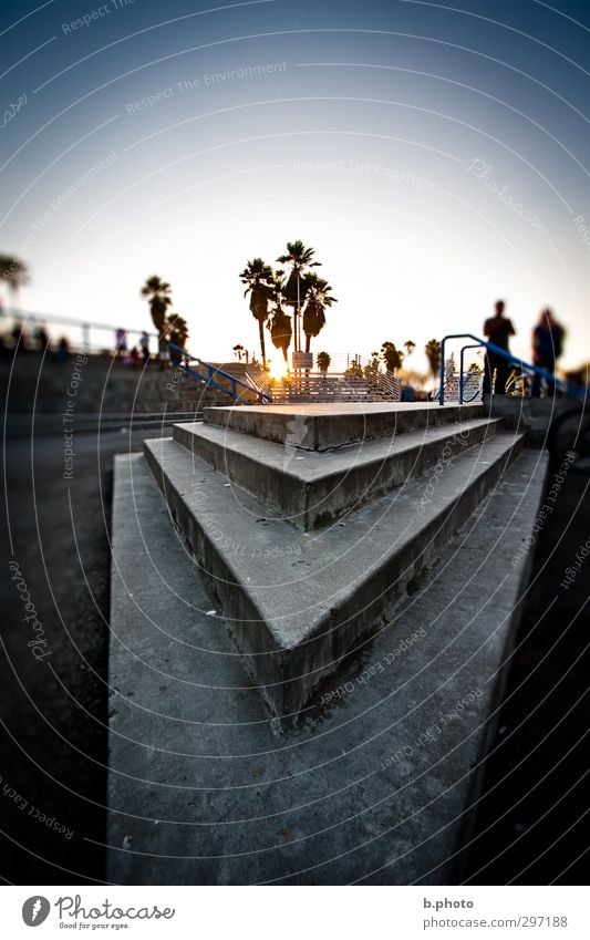 Corner 2 Mensch 18-30 Jahre Jugendliche Erwachsene Wolkenloser Himmel Sonne Sonnenaufgang Sonnenuntergang Sonnenlicht Sommer Baum Palme Park Los Angeles Treppe