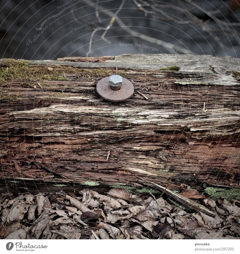 brückentag II Umwelt Natur Erde Fluss Brücke Holz Rost Wasser alt machen stagnierend Verfall Vergänglichkeit Verbindung Schraube Scheibe morsch dunkel