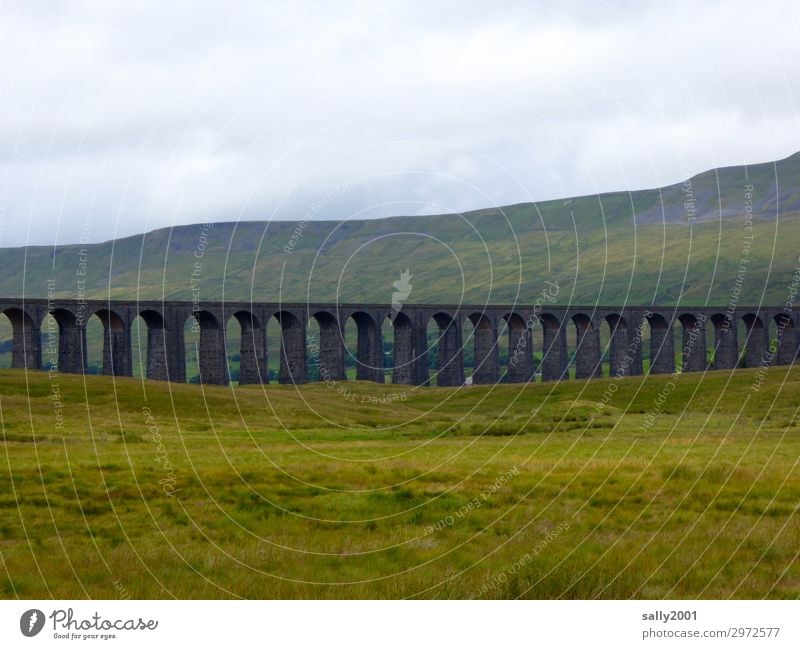 Eisenbahnviadukt Gras Wiese Berge u. Gebirge Yorkshire England Bahnfahren Eisenbahnbrücke Ferien & Urlaub & Reisen alt Ferne Güterverkehr & Logistik Steinbrücke