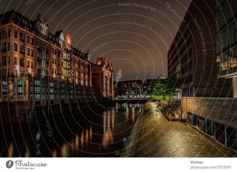 Nachts in der Hafencity Hafenstadt Stadtzentrum Altstadt Bauwerk Gebäude Architektur Sehenswürdigkeit Denkmal glänzend leuchten dunkel Hamburg