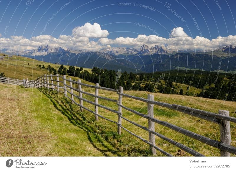 Blick von der Villanderer Alm zu den Dolomiten Informationstechnologie Natur Landschaft Wolken Sommer Alpen Berge u. Gebirge Gipfel blau braun grau grün schwarz