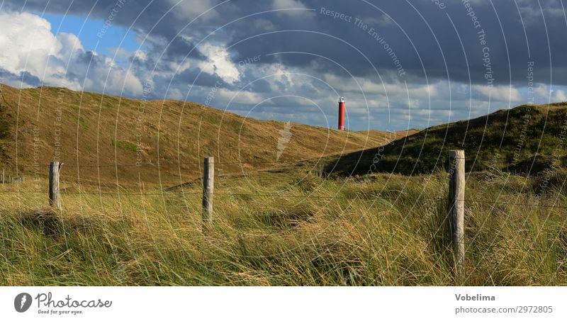 Leuchtturm bei Julianadorp Natur Landschaft Himmel Wolken Sommer Gras Nordsee Sehenswürdigkeit Wahrzeichen blau braun gelb grau grün rot schwarz weiß