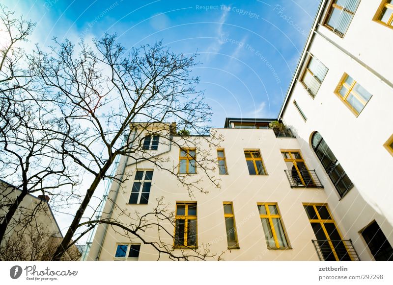 Kollwitz Häusliches Leben Wohnung Haus Natur Himmel Frühling Klima Klimawandel Wetter Schönes Wetter Baum Stadt Hauptstadt Stadtzentrum Bauwerk Fassade gut