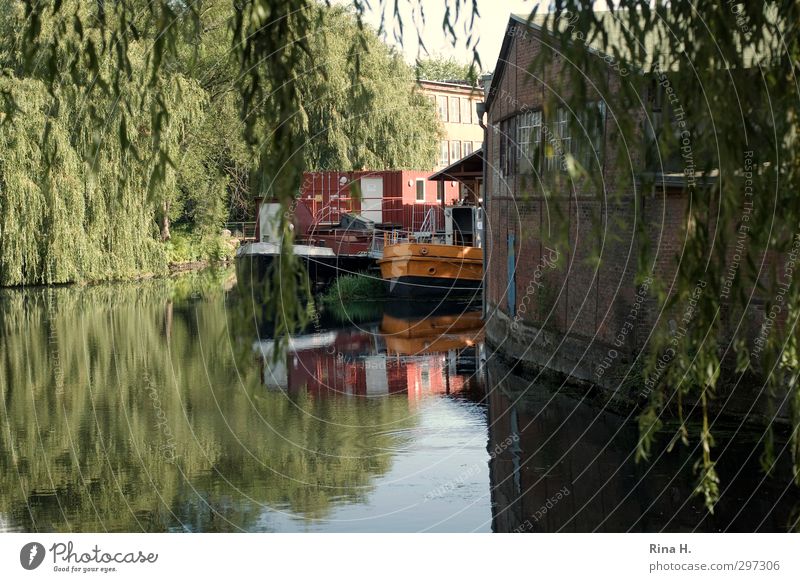 Idylle Wasser Baum Weide Hamburg Wilhelmsburg Haus Industrieanlage Mauer Wand Fassade Binnenschifffahrt authentisch natürlich Wasserfahrzeug Farbfoto