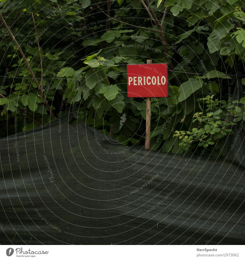 Danger / Gefahr / Pericolo Natur Pflanze Baum Sträucher Blatt Grünpflanze Wald Urwald Schriftzeichen Hinweisschild Warnschild bedrohlich dunkel natürlich saftig