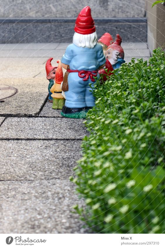 Versammlung Garten Dekoration & Verzierung Männlicher Senior Mann Menschengruppe Sommer Blume Sträucher Mütze Bart Kommunizieren Kitsch geheimnisvoll Team