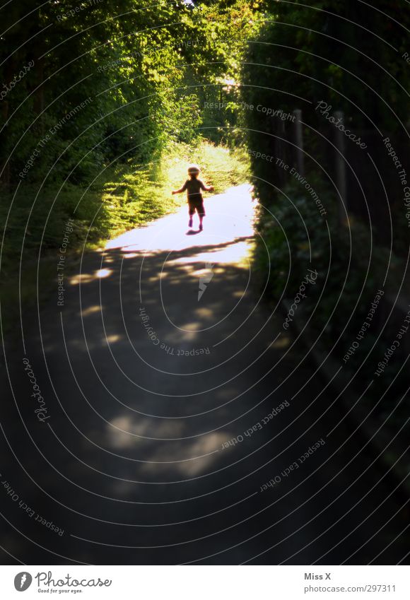 Sommerwetter Mensch Kind Kleinkind 1 1-3 Jahre 3-8 Jahre Kindheit Sonnenlicht Frühling Schönes Wetter Pflanze Baum Sträucher Blatt Park laufen rennen Gefühle