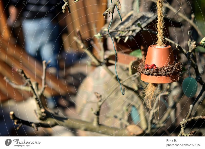 FrühjahrsPutz im Garten Mann Erwachsene 1 Mensch Frühling Schönes Wetter Zweige u. Äste authentisch Lebensfreude Futterhäuschen durcheinander chaotisch