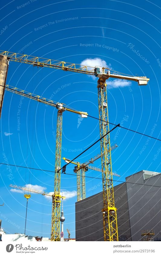 Baukräne im Wind Baustelle Gewerbe Hochbau Wohnung Wohnungssituation Wohnhaus Wohnhochhaus Kran turmdrehkran Ausleger Berlin Deutschland Hauptstadt Haus