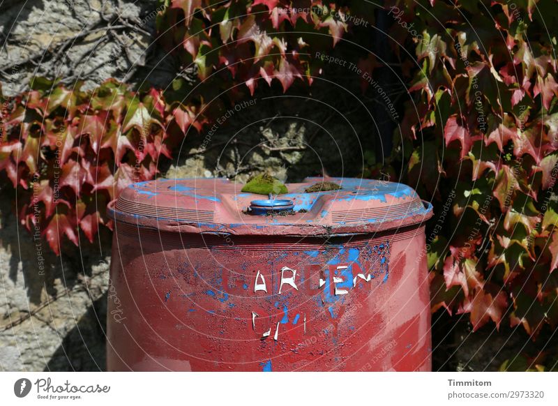 English GARDEN Ferien & Urlaub & Reisen Wilder Wein Garten Großbritannien Mauer Wand Fass Metall Schriftzeichen stehen warten blau rot Gefühle Verfall Yorkshire