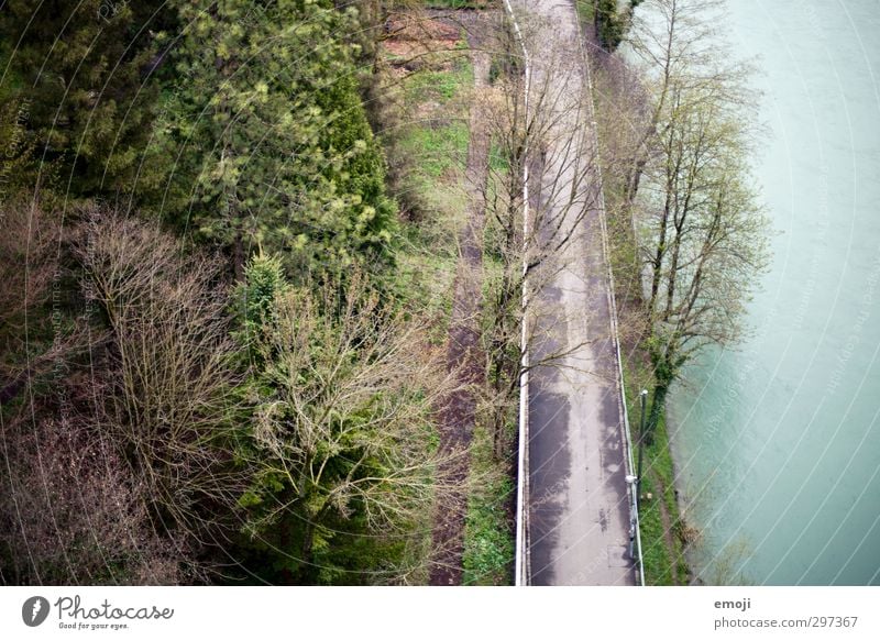 Vogelperspektive Umwelt Natur Park Wald Flussufer natürlich grün Fußweg Farbfoto Außenaufnahme Menschenleer Tag