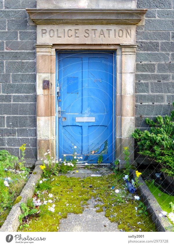 long time no crime... Blume Haus Mauer Wand Tür alt außergewöhnlich Originalität blau Sicherheit Schutz friedlich Endzeitstimmung Frieden Überwachung