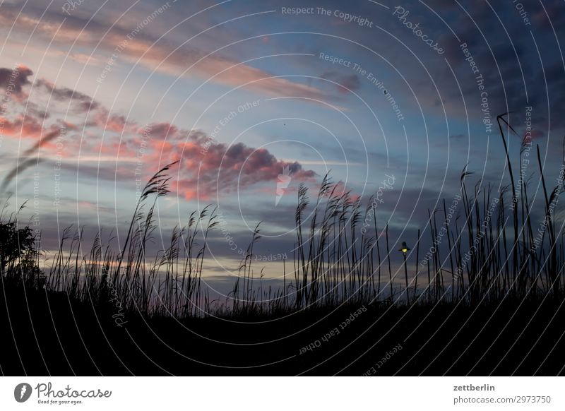 Abends auf Rügen Ferien & Urlaub & Reisen Insel Mecklenburg-Vorpommern mönchgut Natur Ostsee Ostseeinsel Reisefotografie Tourismus Ferne Sehnsucht Himmel