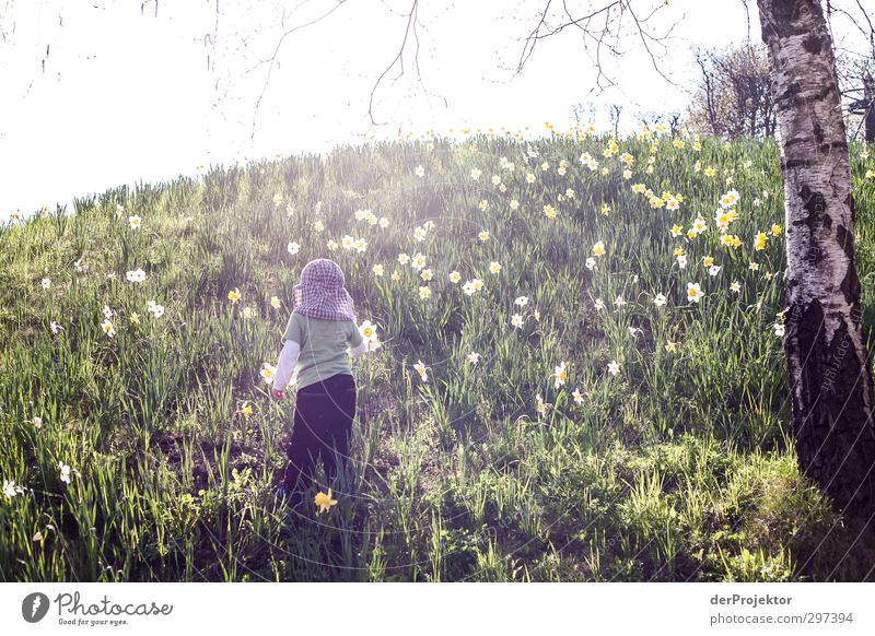 Im Frühling zu Berge Mensch Kind Junge Kindheit Körper 1 1-3 Jahre Kleinkind Umwelt Natur Tier Pflanze Baum Blume Grünpflanze Garten Park Wiese Lebensfreude