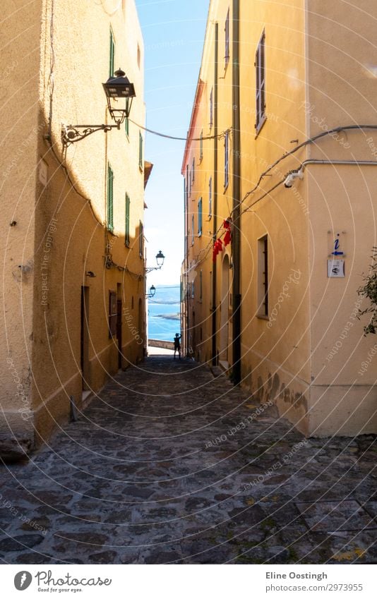 die italienische insel sardinien im mediterranen meer Straße Architektur Großstadt alt Gasse Stadt eng Gebäude Europa Haus Italien reisen Wand antik Stein