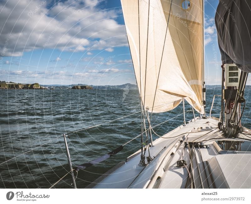 Segelboot im Meer nahe der Küste Erholung Freizeit & Hobby Ferien & Urlaub & Reisen Abenteuer Freiheit Sommer Sport Segeln Himmel Horizont Wind Felsen Verkehr