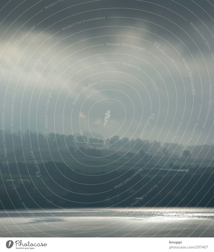 Silbersee Umwelt Natur Landschaft Luft Wasser Himmel Wolken Horizont Sommer Schönes Wetter Nebel Pflanze Baum Hügel Seeufer Ferne schön weich grau grün silber