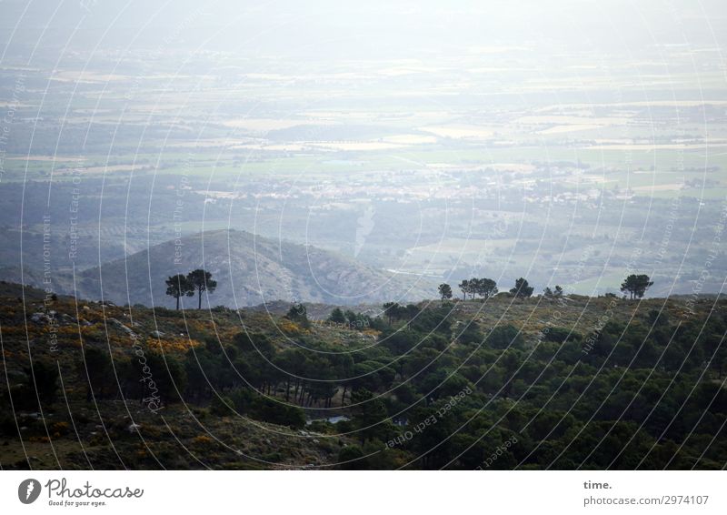 Raumteiler Umwelt Natur Landschaft Frühling Schönes Wetter Baum Feld Berge u. Gebirge wild Zusammensein Romantik demütig entdecken Erholung Ewigkeit Inspiration