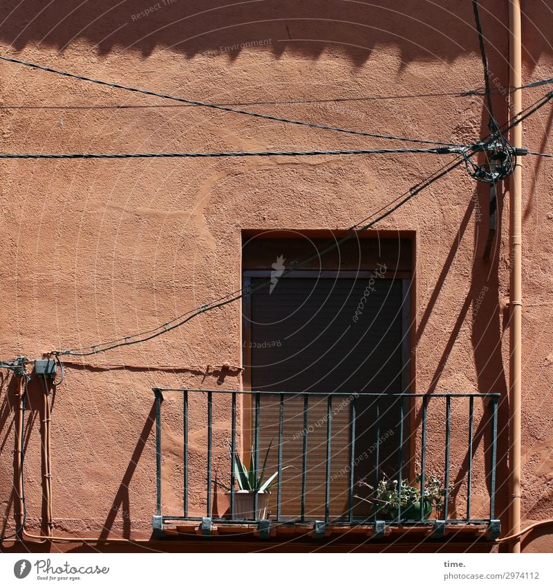 Geschichten vom Zaun (XXII) Energiewirtschaft Schönes Wetter Pflanze Balkonpflanze Kaktus Lissabon Stadtzentrum Haus Mauer Wand Tür Dach Geländer Fallrohr