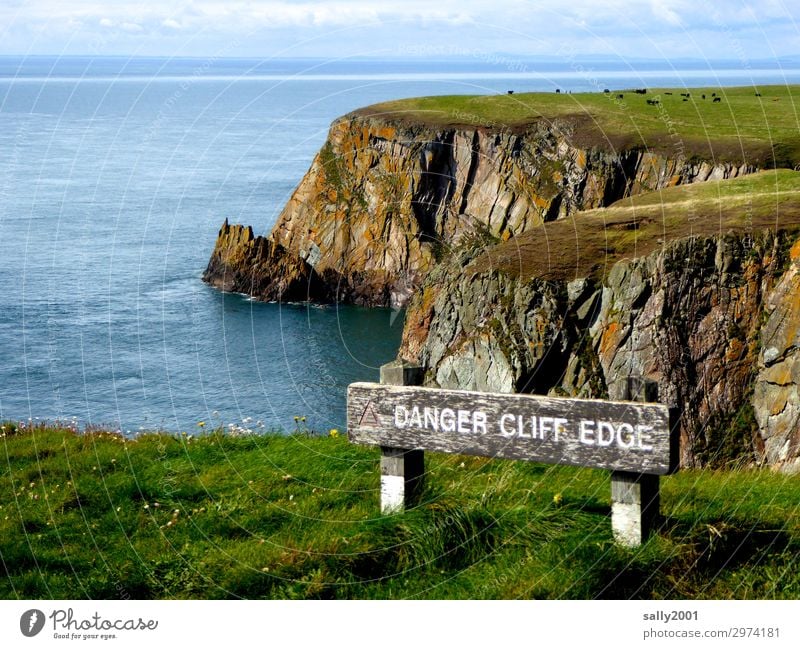 ab hier wird's gefährlich... Natur Landschaft Schönes Wetter Wiese Küste Meer irische see irish sea Schottland Kuh Herde Hinweisschild Warnschild Ferne